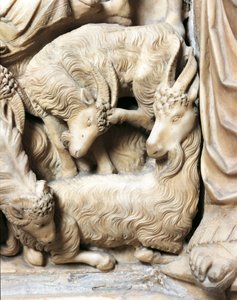 Italien, Toskana, Siena-Kathedrale, Kanzel mit der Geburtsszene von Nicola Pisano von Nicola Pisano