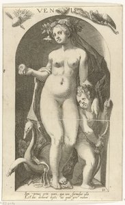 Venus von Nicolaas Braeu