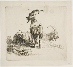 Ziegen, aus Verschiedene Tiere