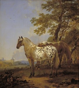 Zwei Pferde in einer Landschaft von Nicolaes Berchem