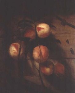 Pfirsichzweig gegen eine Wand, mit Schnecken von Nicolaes Maes