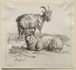 Widder und Ziege von Nicolaes Pietersz. Berchem