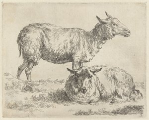 Stehendes und liegendes Schaf (Serientitel: Schafe) von Nicolaes Pietersz Berchem
