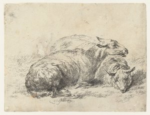 Zwei liegende Schafe (Serie: Animalia ad vivum delineata et aqua forti aeri impressa Studio et Arte Nicolai Berchemi)
