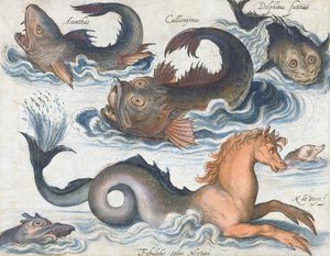 Seepferdchen und imaginäre Wasserwesen