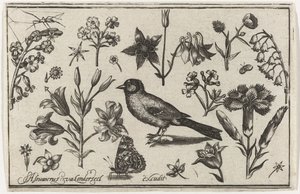 Blumen, Schmetterling und ein Vogel von Nicolaes de Bruyn (possibly)