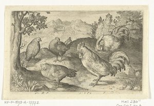 Drei Hühner und zwei Hähne (Vögel und Insekten) von Nicolaes de Bruyn