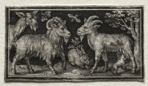 Ziegen und Hase von Nicolaes de Bruyn