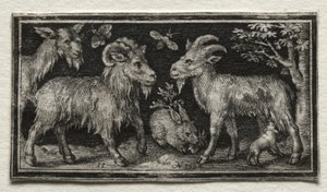 Ziegen und Hase, 1594 von Nicolaes de Bruyn