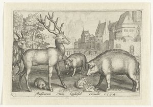 Hirsch, Igel, Schaf, Frosch und Schwein von Nicolaes de Bruyn