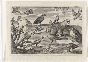 Hopfen und andere Vögel von Nicolaes de Bruyn