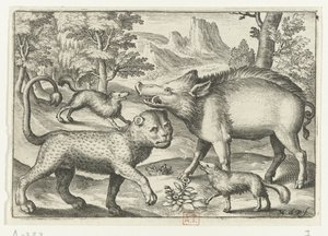 Leopard, Wildschwein und zwei Hunde