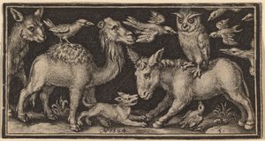 Eule auf dem Rücken eines Esels, Vogel auf dem Rücken eines Kamels mit anderen Tieren