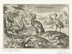 Fünf Vögel einschließlich Löffler (Vögel und Insekten) von Nicolaes de Bruyn