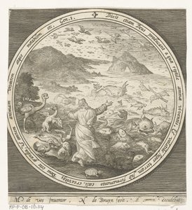 Fünfter Tag der Schöpfung: Gott erschafft Fische und Vögel