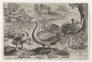 Schwan und Gänse und Enten am Wasser von Nicolaes de Bruyn