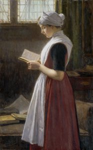 Amsterdamer Waisenmädchen von Nicolaes van der Waay