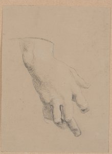 Studie einer Hand