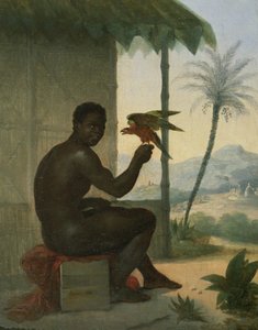 Brasilianischer Schwarzer mit tropischem Vogel