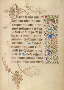 Geschmückte Textseite