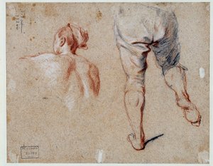 Anatomiestudie Ölgemälde von Nicolas Vleughels 18. Jahrhundert Paris, Louvre Museum von Nicolas Vleughels