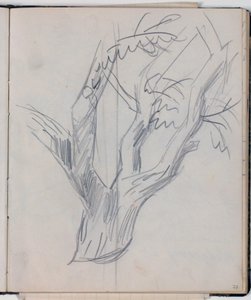 Studie einer Baumkrone von Niels Larsen Stevns