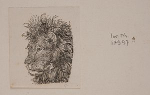 Ein Löwenkopf von Niels Skovgaard