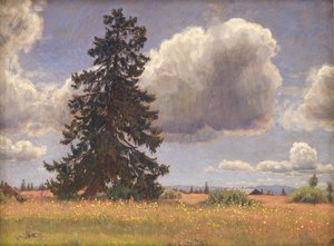 Fichte auf einer Sommerweide. Norwegen von Niels Skovgaard