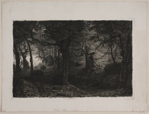 Der Trollwald