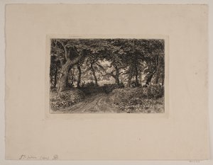 Wagen auf Waldweg von Niels Skovgaard