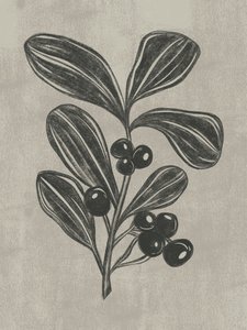Botanische Beerenzeichnung von Nikita Jariwala