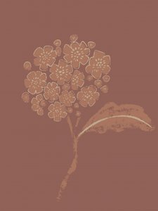 Erdige botanische Blüte