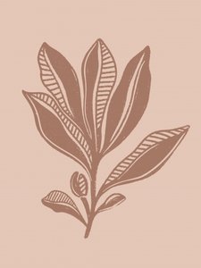 Natürliche botanische Zeichnung