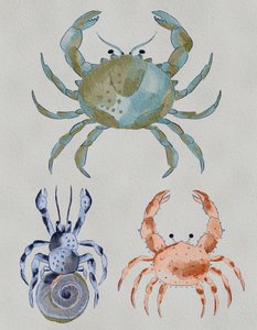 Ozeankrebse Aquarell
