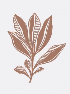 Organische botanische Skizze