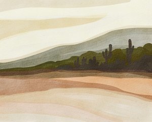 Saguaro-Wüstenhügel von Nikita Jariwala