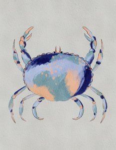 Gelassener blauer Krebs