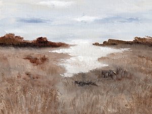 Gelassene Marschlandschaft