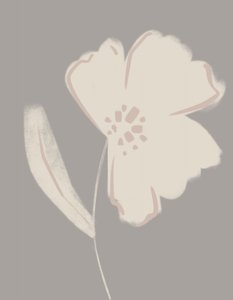 Weiche Blush-Blüte von Nikita Jariwala