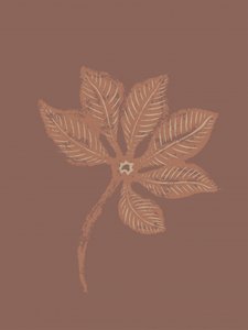 Strukturierte botanische Blätter von Nikita Jariwala