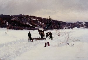 Schnee räumen