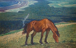 Weidendes Pferd von Nils Kreuger