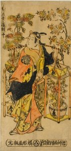 Blumenhändler der vier Jahreszeiten - Ein Satz von drei (Shiki no hanauri sanpukutsui)
