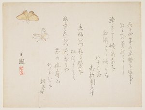 (Schmetterlinge) von Nishiyama Hoen
