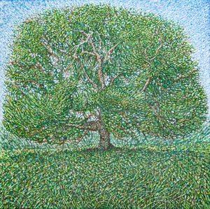 Langer Sommerbaum, 2024