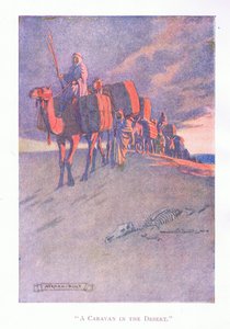 Eine Karawane in der Wüste von Norman Ault