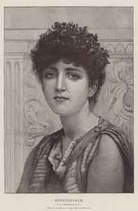 Geißblatt von Norman Prescott Davies