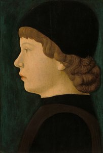 Profilporträt eines Jungen von North Italian 15th Century