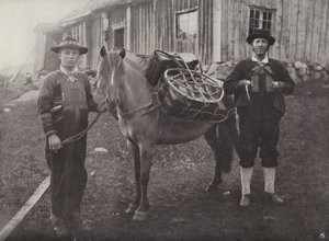 Saetersdalen Hochländer mit Packpferd von Norwegian Photographer