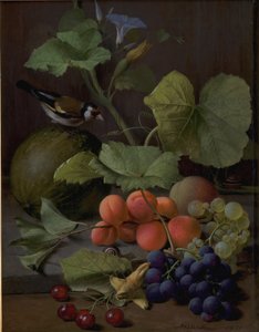 Stillleben mit Früchten und einem Stieglitz
